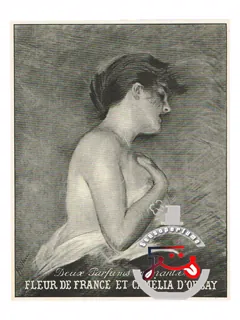 کاملیا دورسه | camelia d’orsay